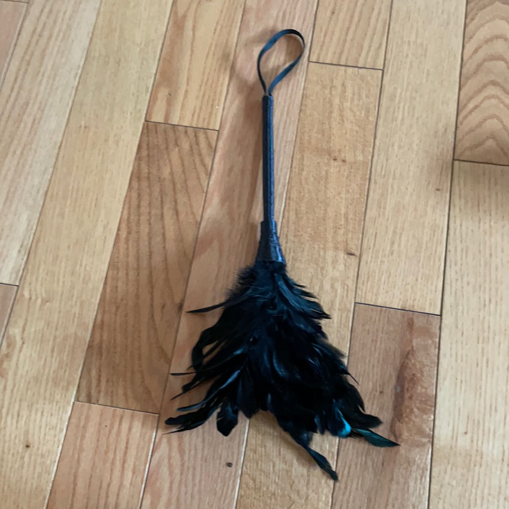 Feather Teaser